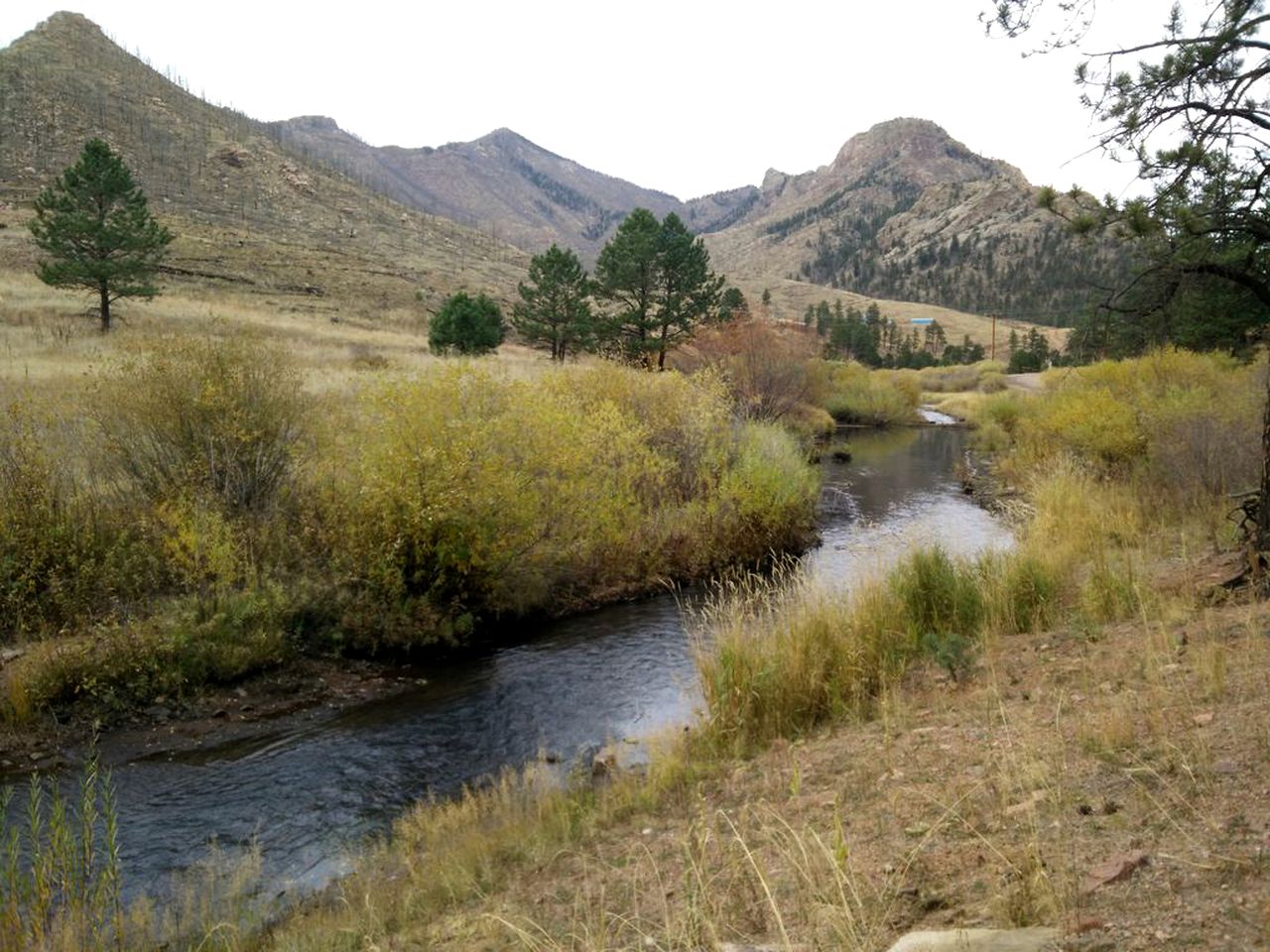 Enchanting Cabin Rental near Colorado Springs, Colorado