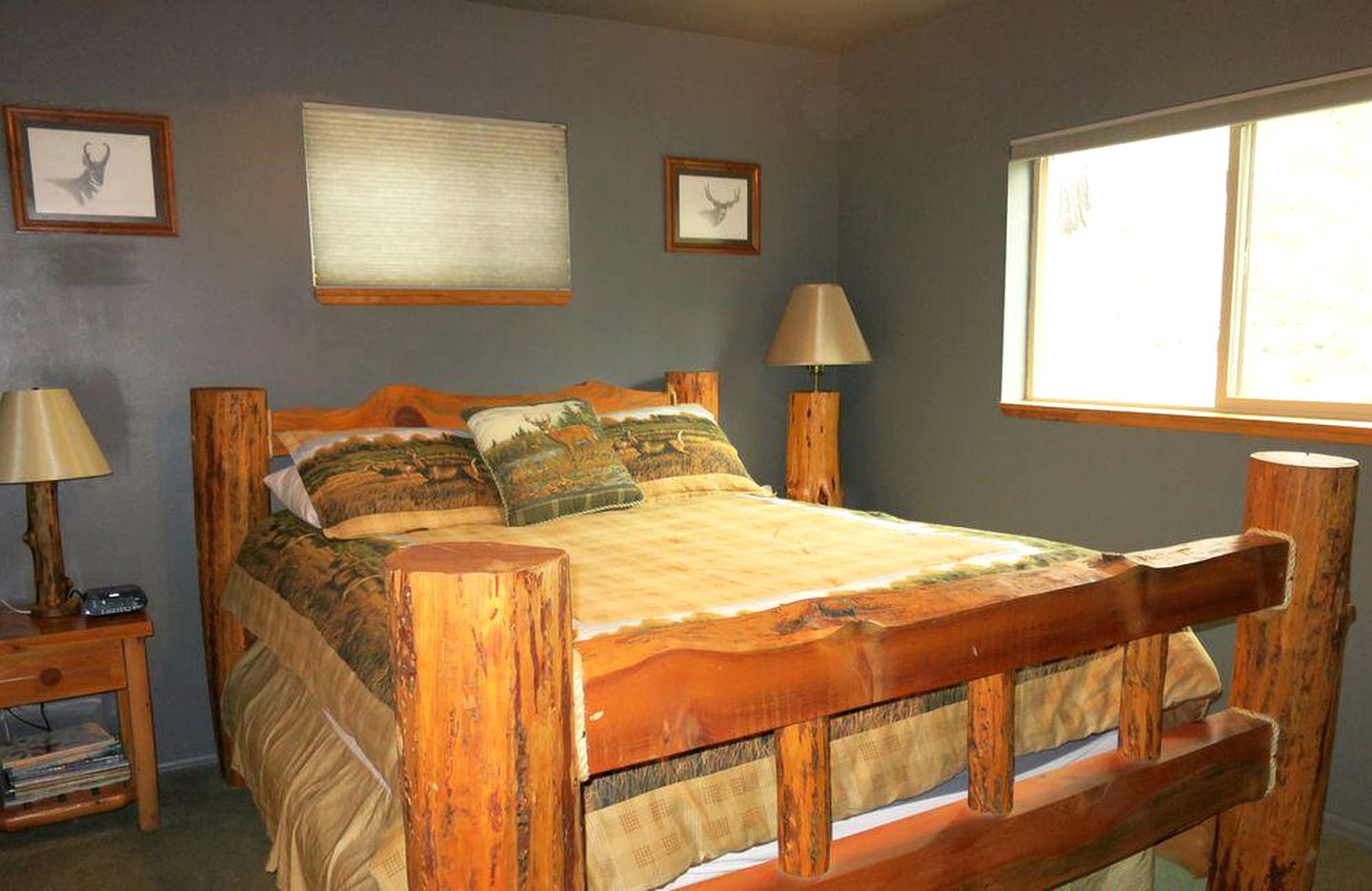 Impressive Cabin Rental with Views of Pike National Forest near Colorado Springs, Colorado