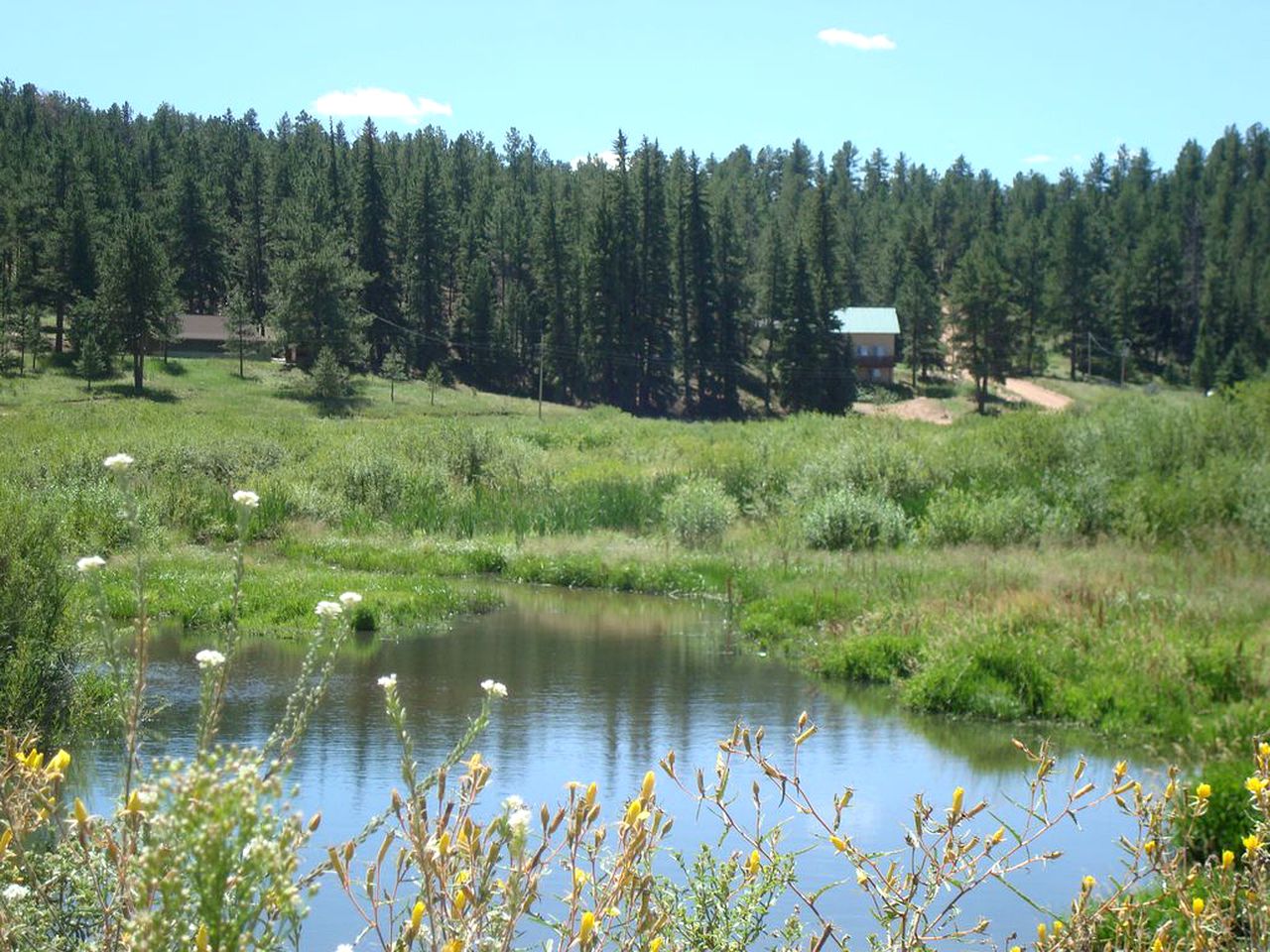 Impressive Cabin Rental with Views of Pike National Forest near Colorado Springs, Colorado