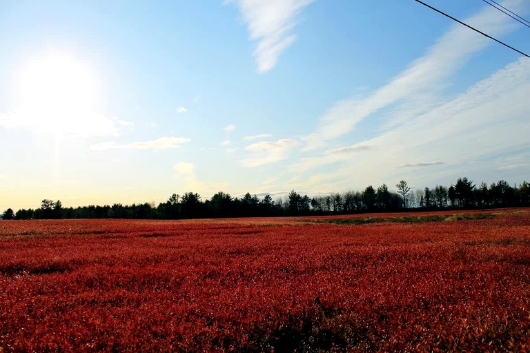 Vacation Rentals (United States of America, Hancock, Maine)