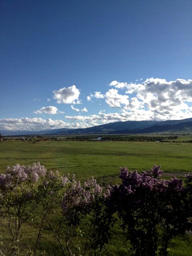 Cabins (Livingston, Montana, United States)