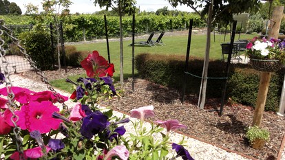 undefined photo 4