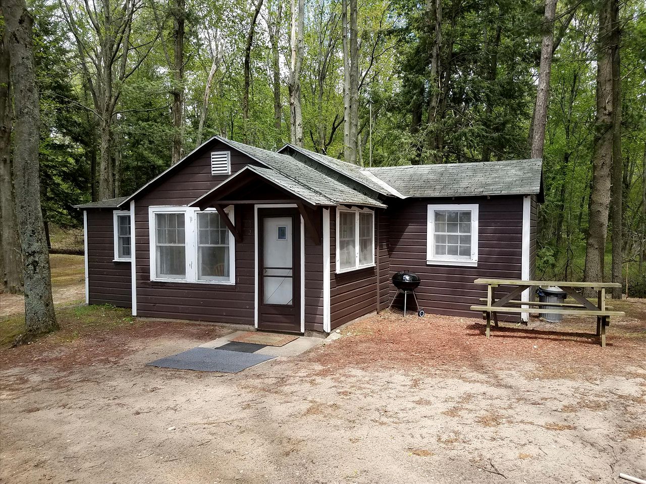 Charming Vacation Cabin with Waterfront Views on Pine Lake, Michigan