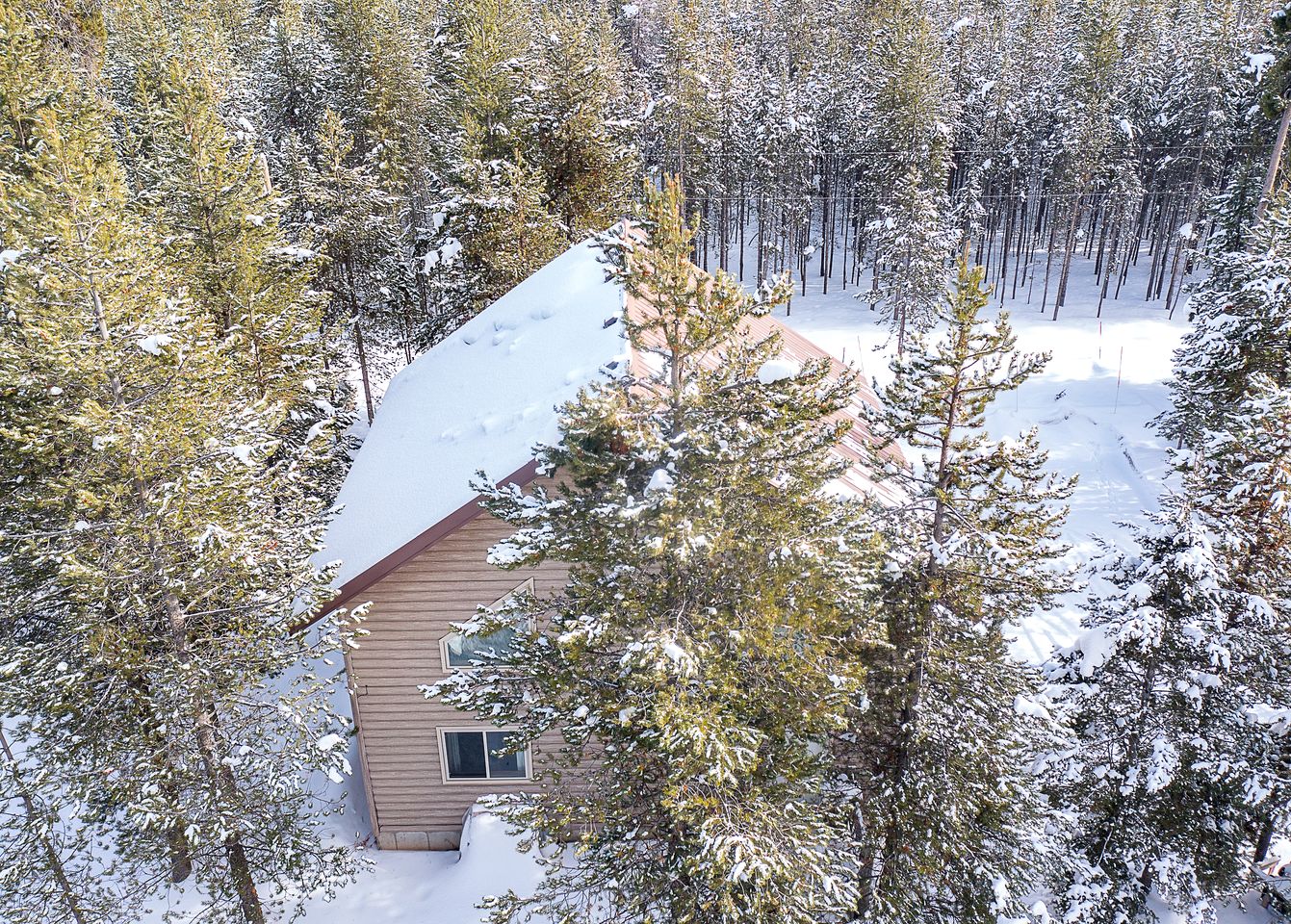 Spacious Secluded Cabin in Island Park, Idaho