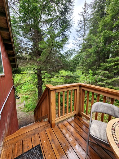 Stunning Cabin with Fantastic Forest Views in Seward, Alaska