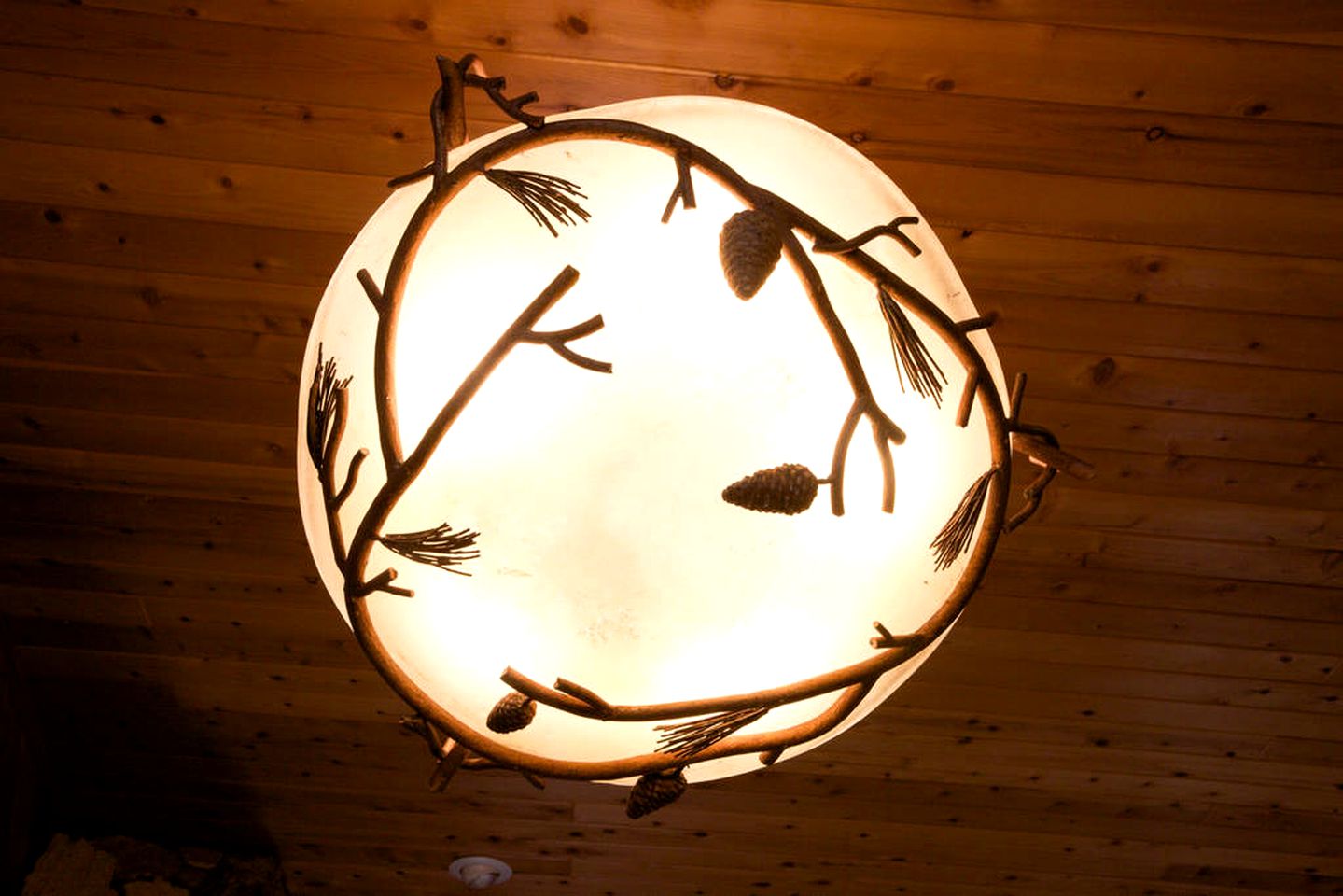 Luxury Cabin Rental Surrounded by Tonto National Forest in Pine, Arizona