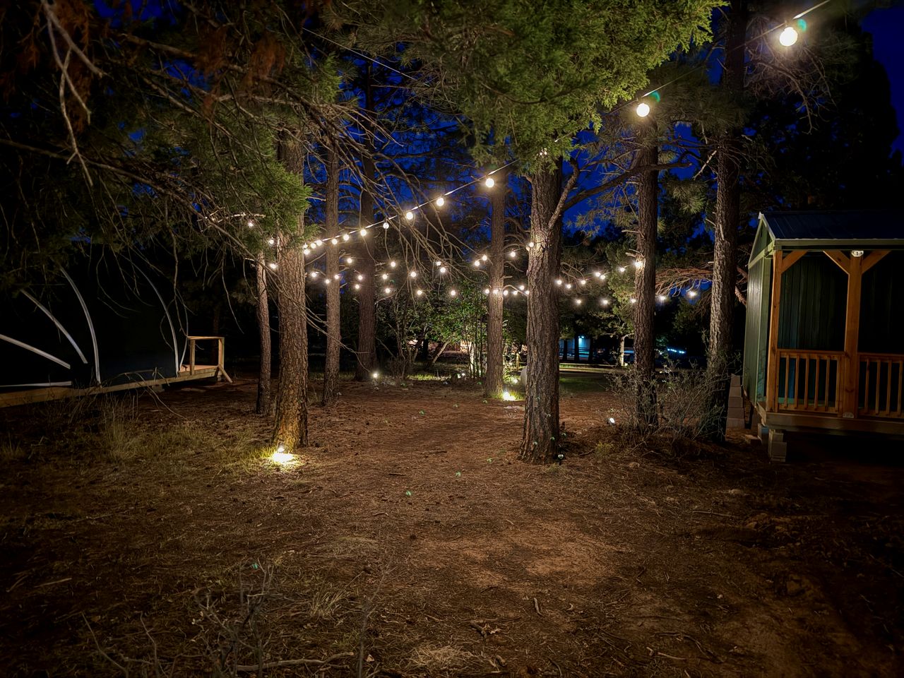 Cozy Glamping Tent with Heritage Orchard & Farm Animals near Mountainair in Torreon, New Mexico