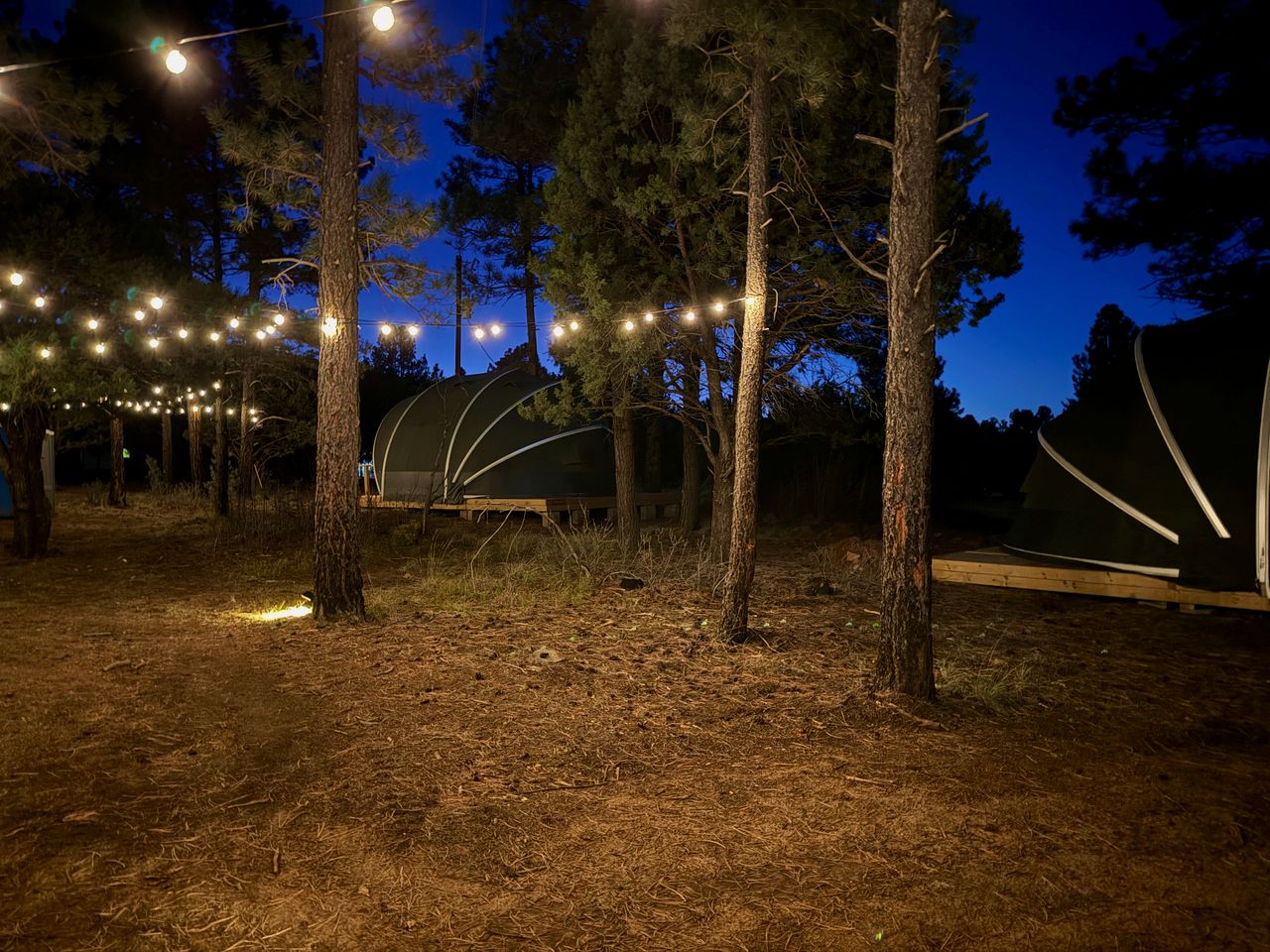 Cozy Glamping Tent with Heritage Orchard & Farm Animals near Mountainair in Torreon, New Mexico