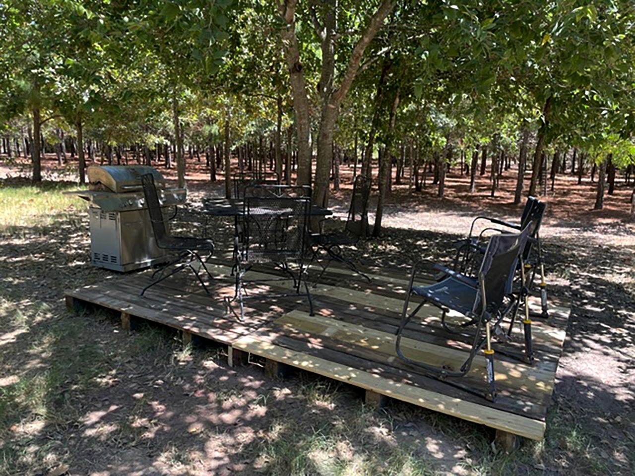 Dream Glamping in Texas in this Cozy, Pet-Friendly Cabin in Bastrop, TX