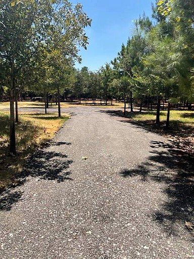 Vacation Rentals (United States of America, Bastrop , Texas)