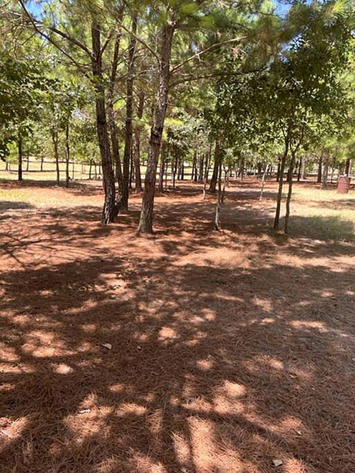 Dream Glamping in Texas in this Cozy, Pet-Friendly Cabin in Bastrop, TX