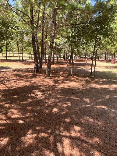 Vacation Rentals (United States of America, Bastrop , Texas)