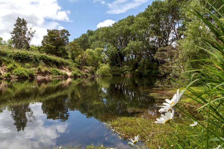 Nature Lodges (Hikuai, North Island, New Zealand)