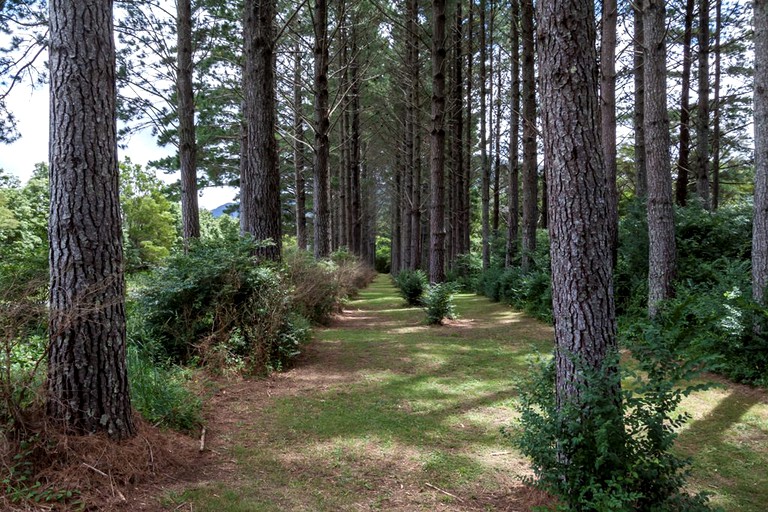 Nature Lodges (Hikuai, North Island, New Zealand)