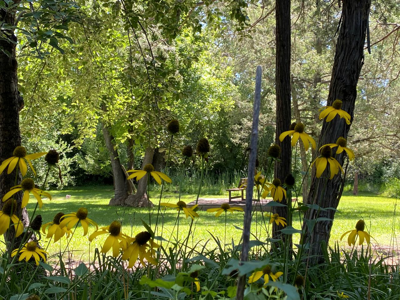 Serenity by the River: Romantic Cabin with Fireplace in San Miguel County, New Mexico