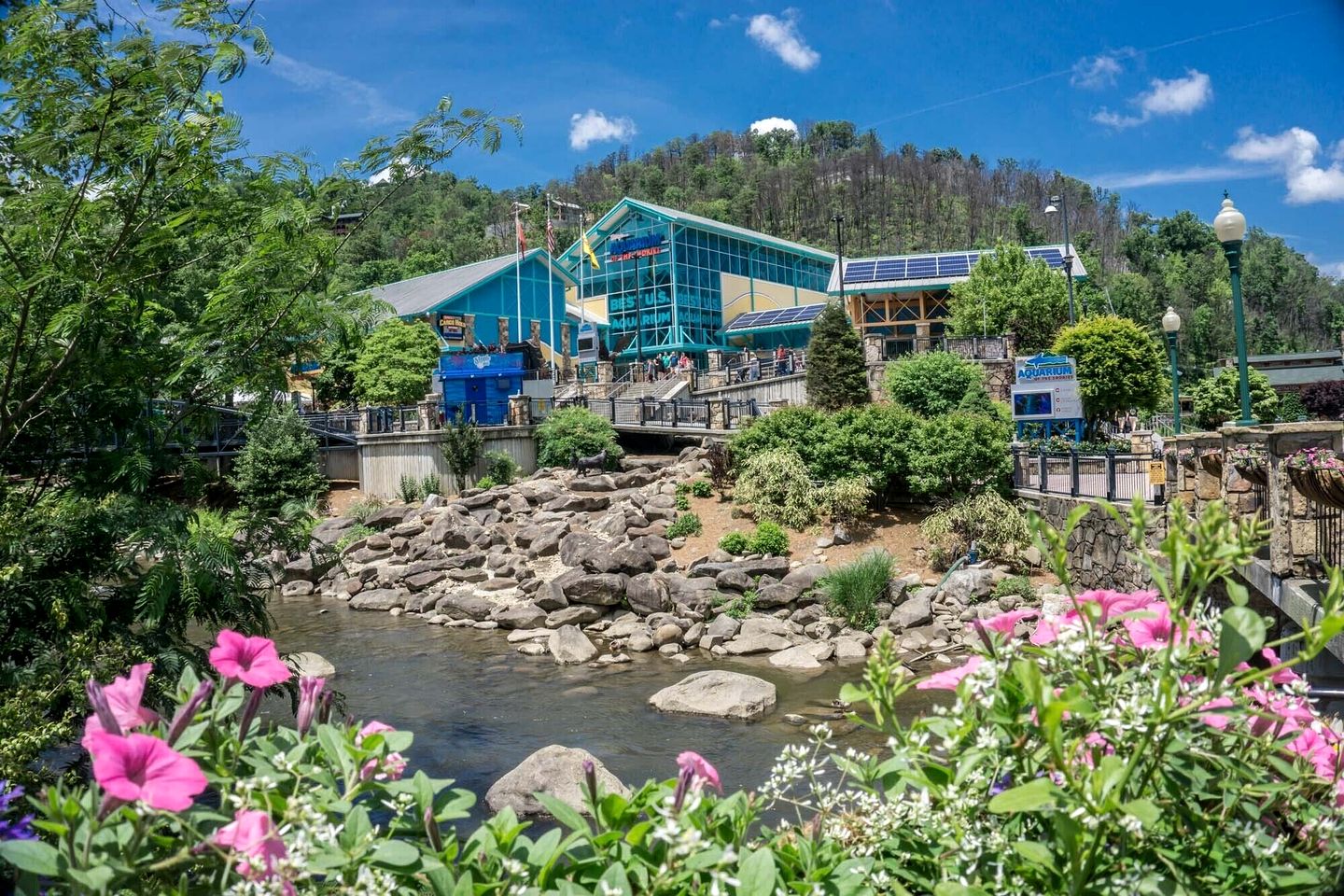 Spacious Family Cabin with Indoor Pool & Game Room near Dollywood in Gatlinburg, Tennessee