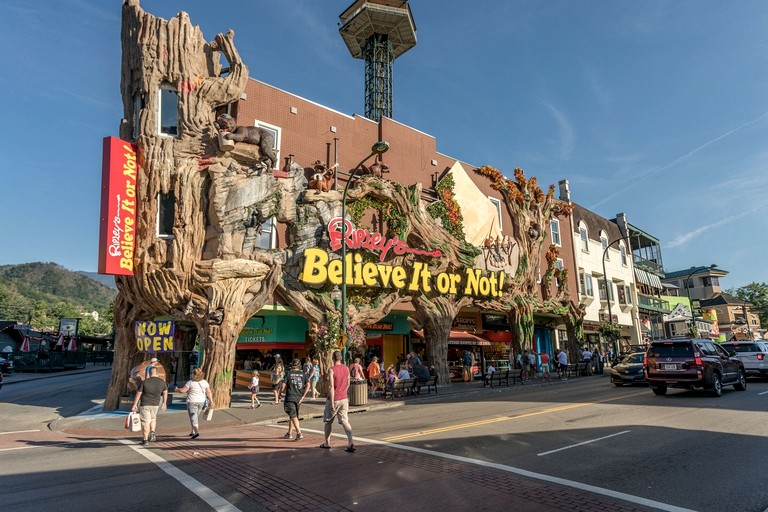 Cabins (United States of America, Gatlinburg, Tennessee)