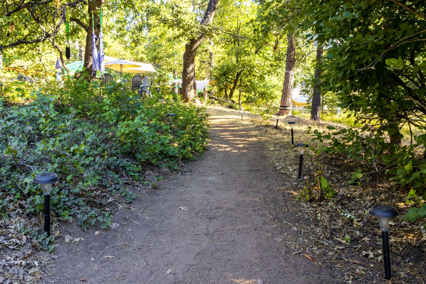 Pioneering Pet-Friendly Glamping: Mt. Laguna's Original Nature Lovers' Retreat