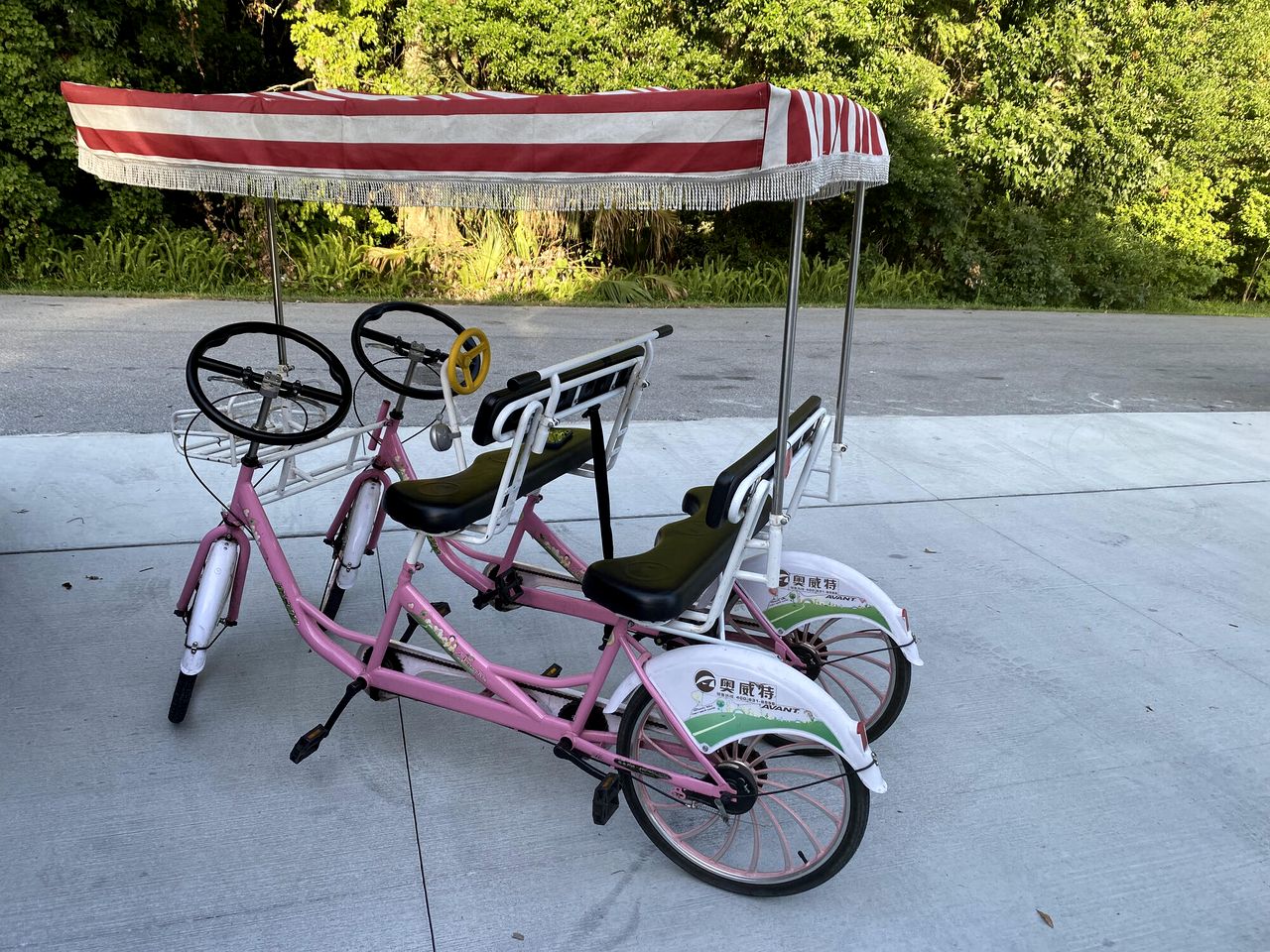 Breathtaking Riverfront Cottage in Weeki Wachee, Florida