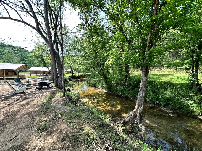 Vacation Rentals (United States of America, Newport, Tennessee)