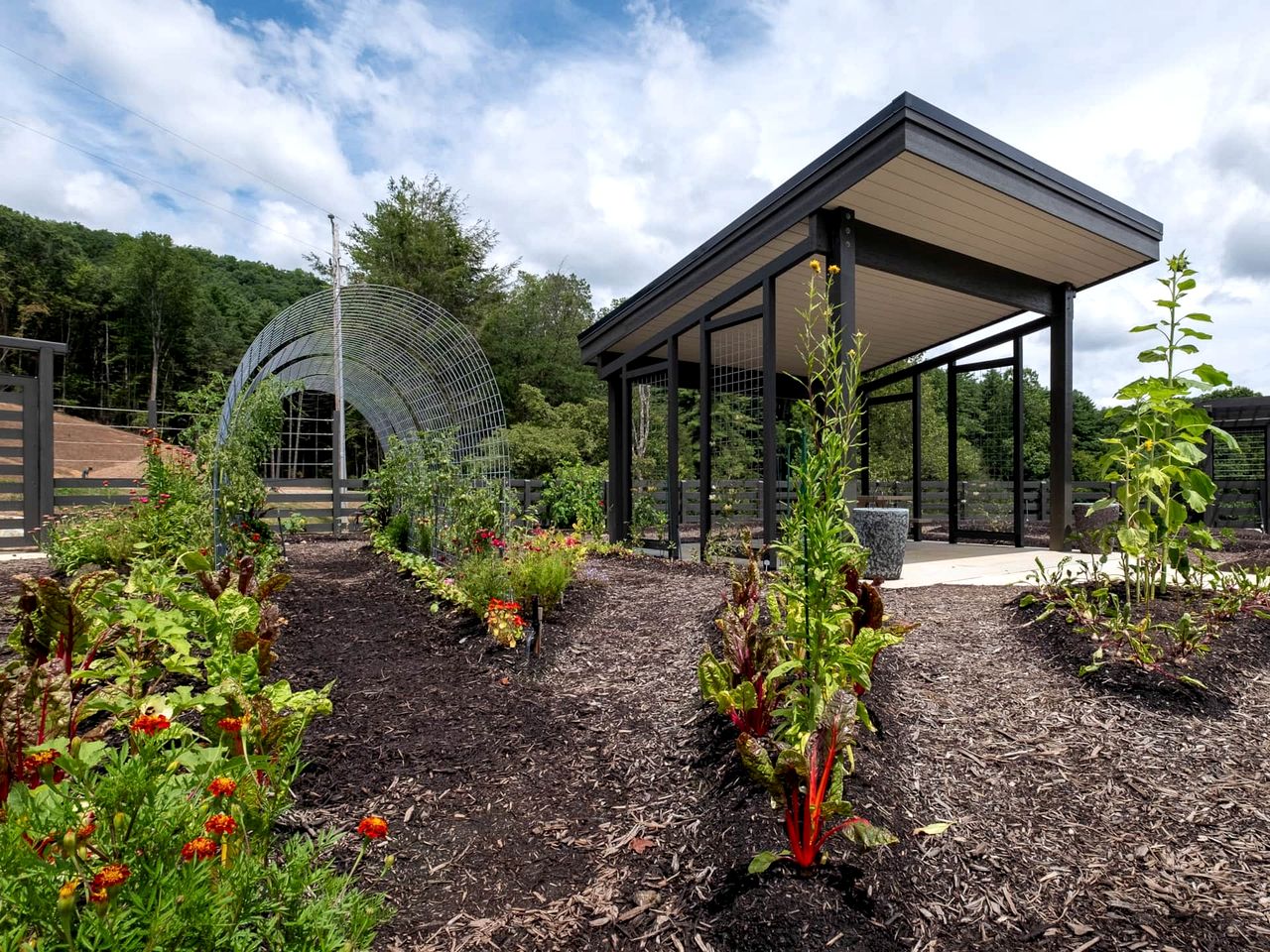 Pisgah Forest Retreat: Cozy Cabin Blending Comfort and Luxury for Glampers, NC