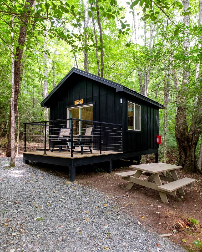 Pisgah Forest Retreat: Cozy Cabin Blending Comfort and Luxury for Glampers, NC