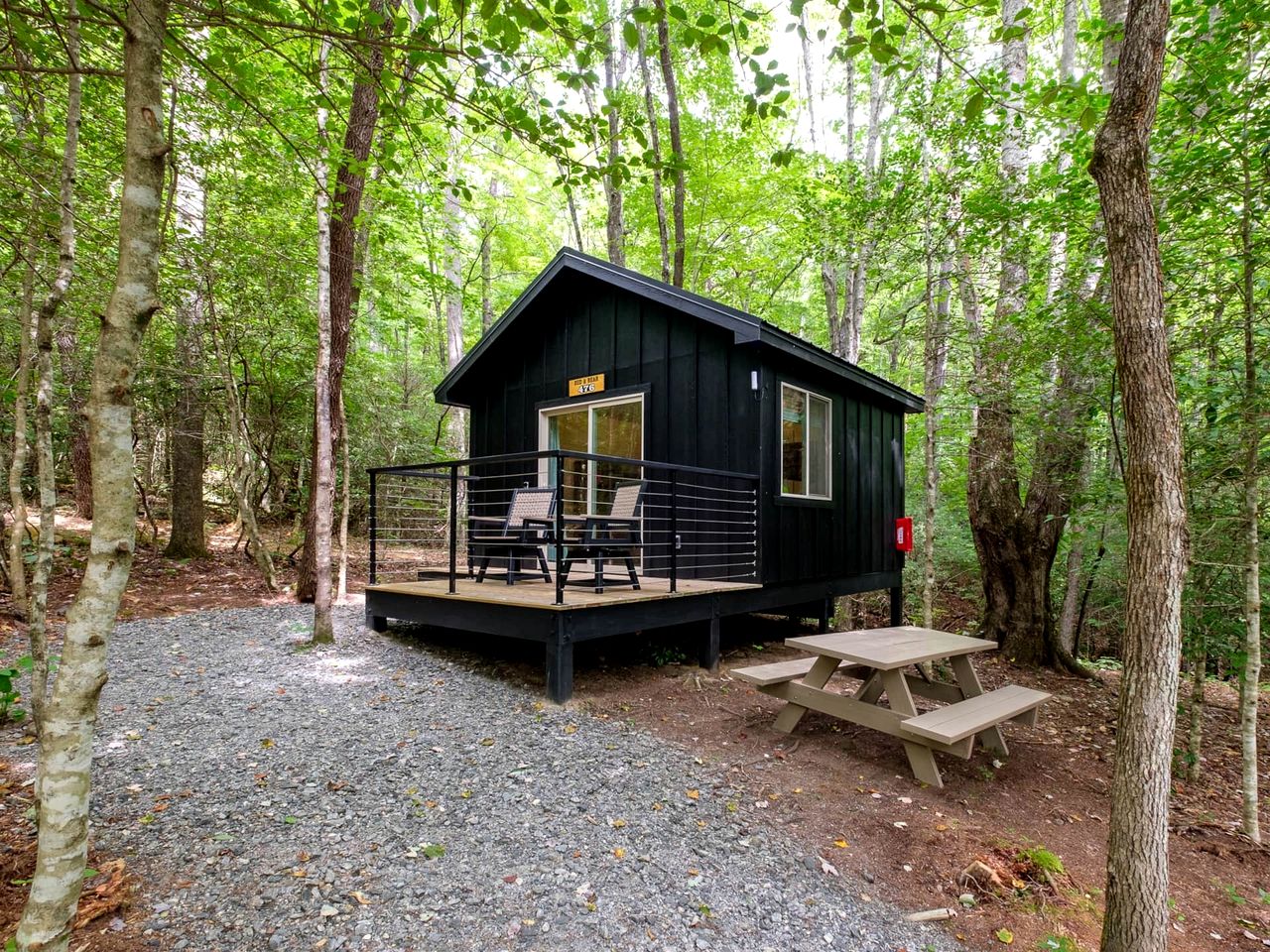 Pisgah Forest Retreat: Cozy Cabin Blending Comfort and Luxury for Glampers, NC