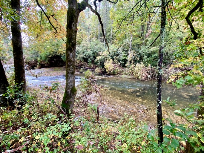 Vacation Rentals (United States of America, Balsam Grove, North Carolina)