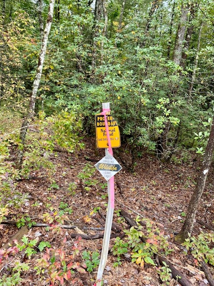 Tranquil Riverfront Retreat with Hot Tub near Waterfalls & Pisgah National Forest, Brevard NC