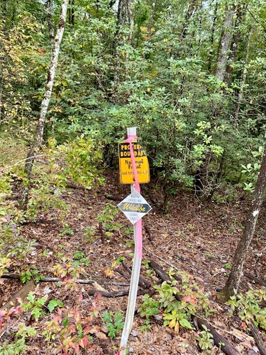 Vacation Rentals (United States of America, Balsam Grove, North Carolina)