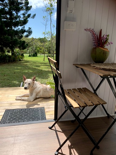 Tiny Houses (Australia, Julatten, Queensland)