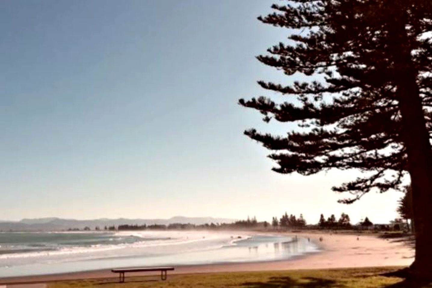 Secluded Bed and Breakfast Accommodation in Idyllic Surroundings near Gisborne, North Island