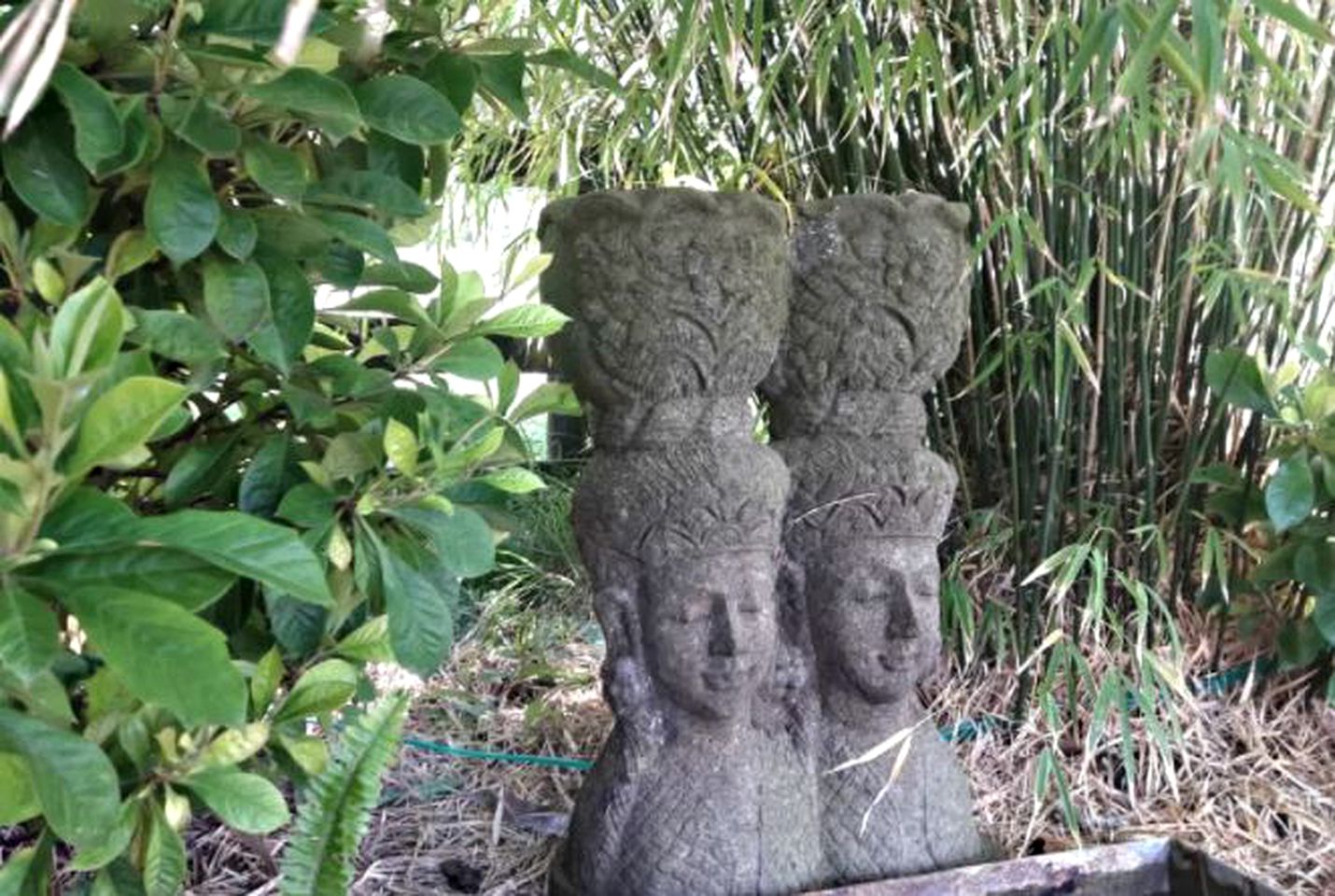 Secluded Bed and Breakfast Accommodation in Idyllic Surroundings near Gisborne, North Island