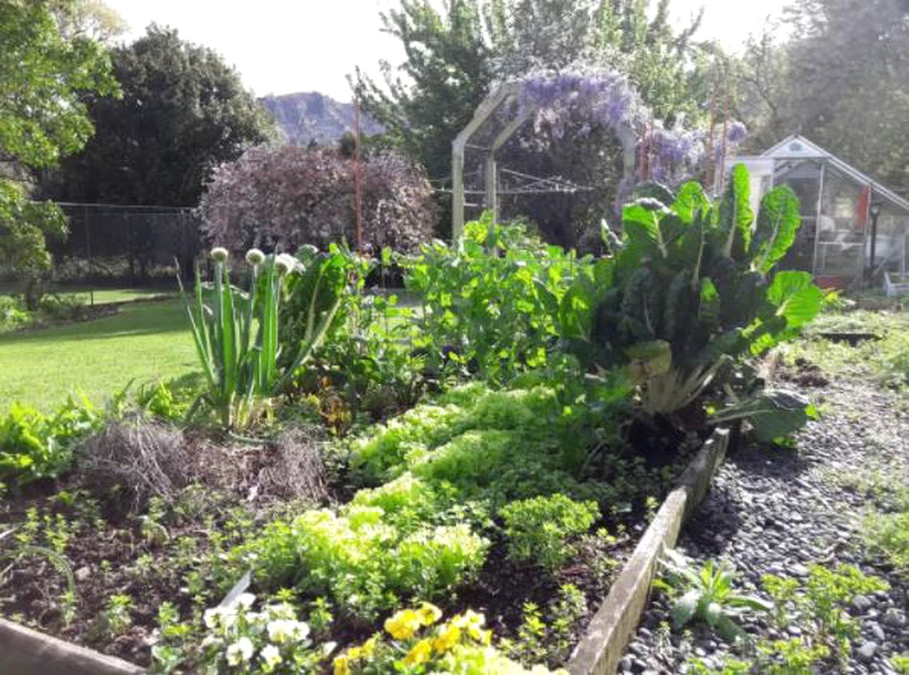 Secluded Bed and Breakfast Accommodation in Idyllic Surroundings near Gisborne, North Island