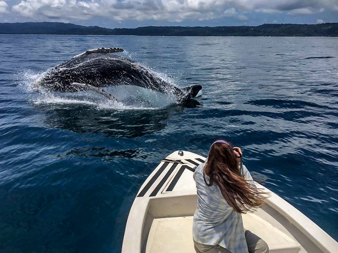 Beach Houses (Puntarenas, Puntarenas, Costa Rica)
