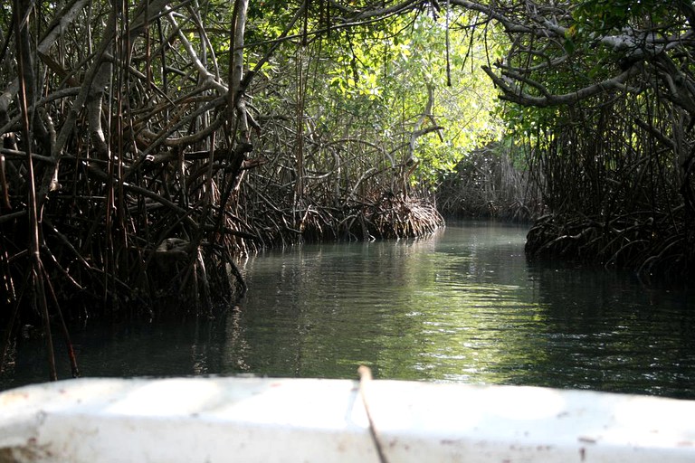 Nature Lodges (Cartagena, Bolívar, Colombia)