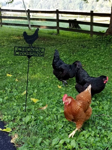 Cottages (United States of America, Darnestown, Maryland)