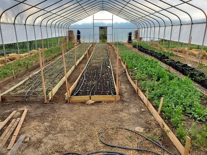 Cottages (United States of America, Darnestown, Maryland)