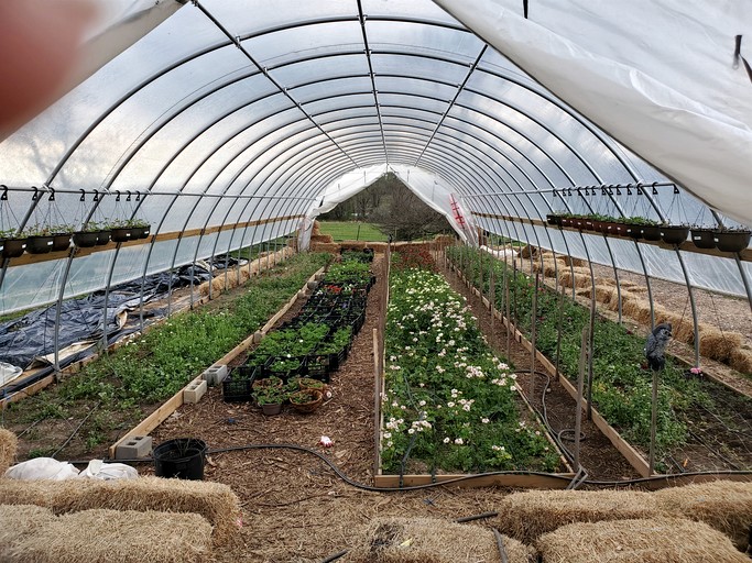 Cottages (United States of America, Darnestown, Maryland)