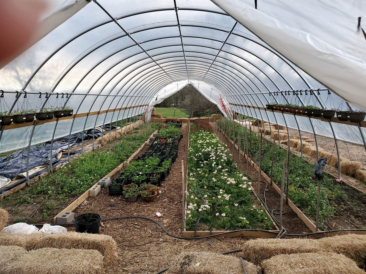 Sweet Chic Farm Cottage with Pool, Hot-Tub and Beautiful Sunsets in Maryland