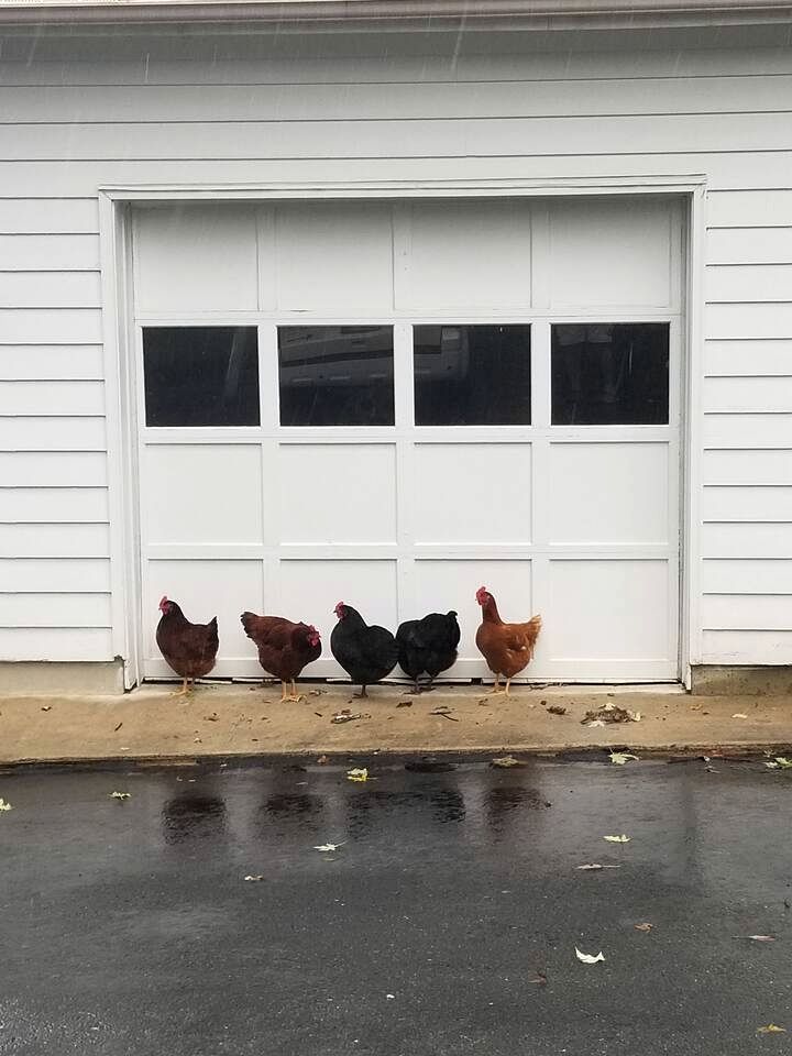 Pleasant Cozy Airstream with Amazing Stargaze and Farm Views in Maryland