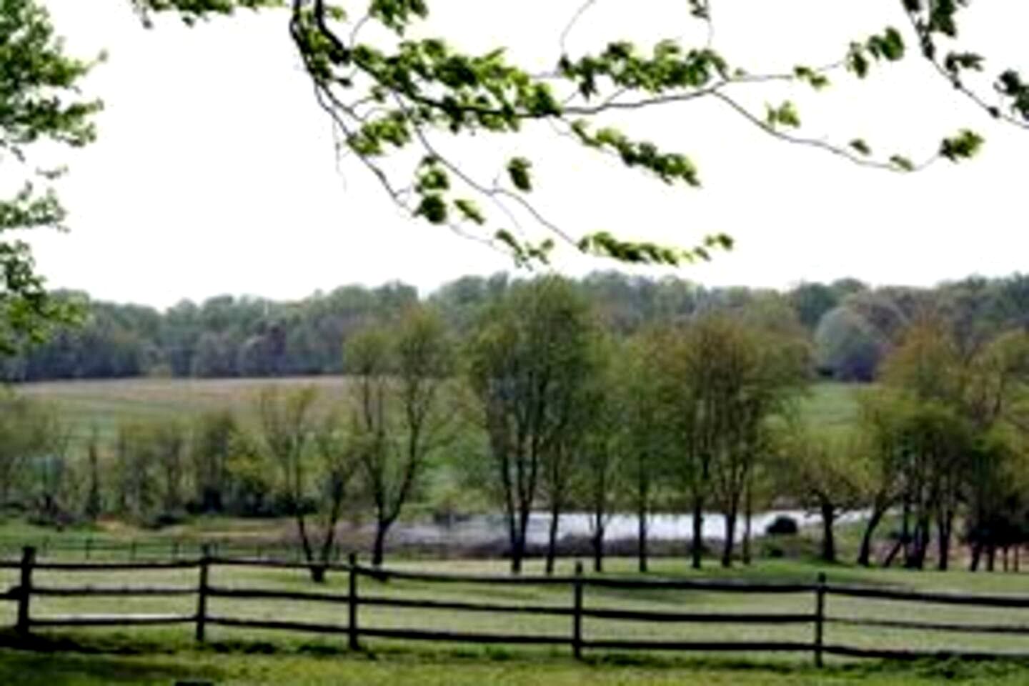 Beautiful Farmstay Hill Cottage and Tiny Equipped Camper in Maryland