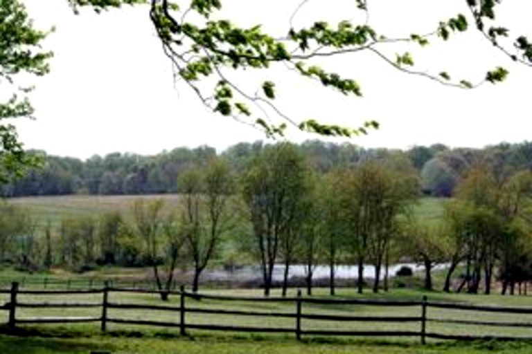 Vacation Rentals (United States of America, Darnestown, Maryland)