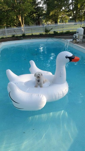 Vacation Rentals (United States of America, Darnestown, Maryland)