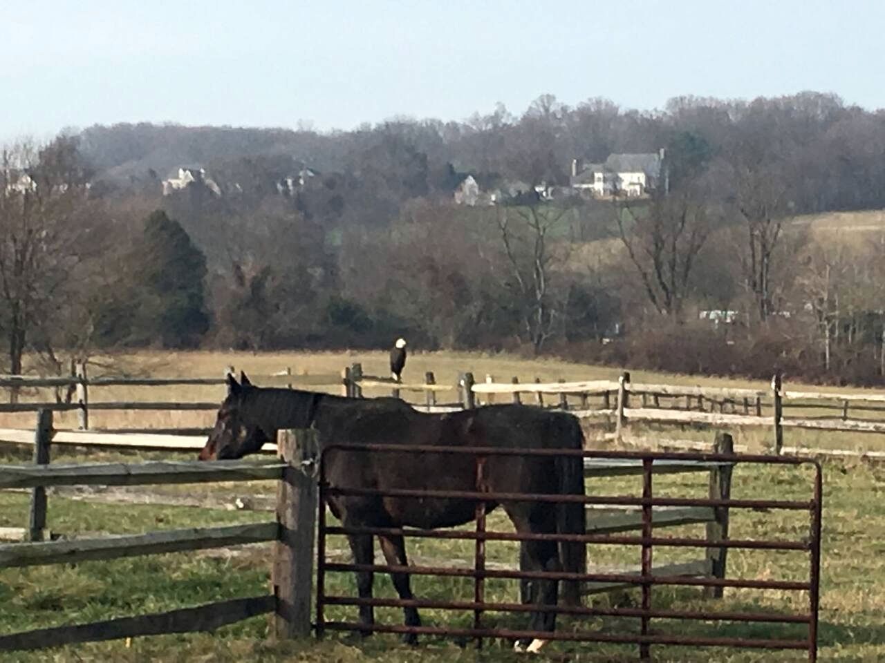 Beautiful Farmstay Hill Cottage and Tiny Equipped Camper in Maryland