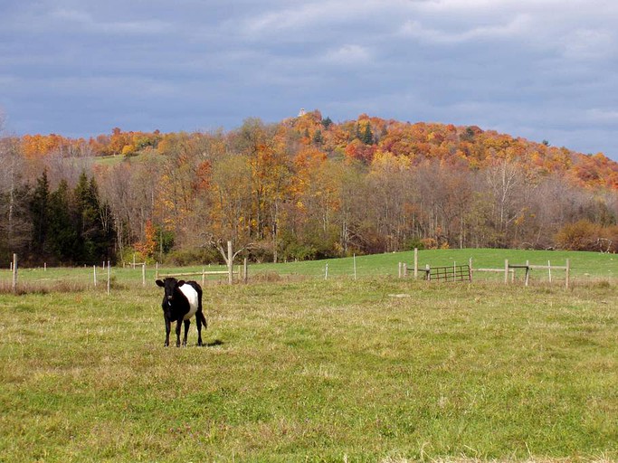 Nature Lodges (Hudson, New York, United States)