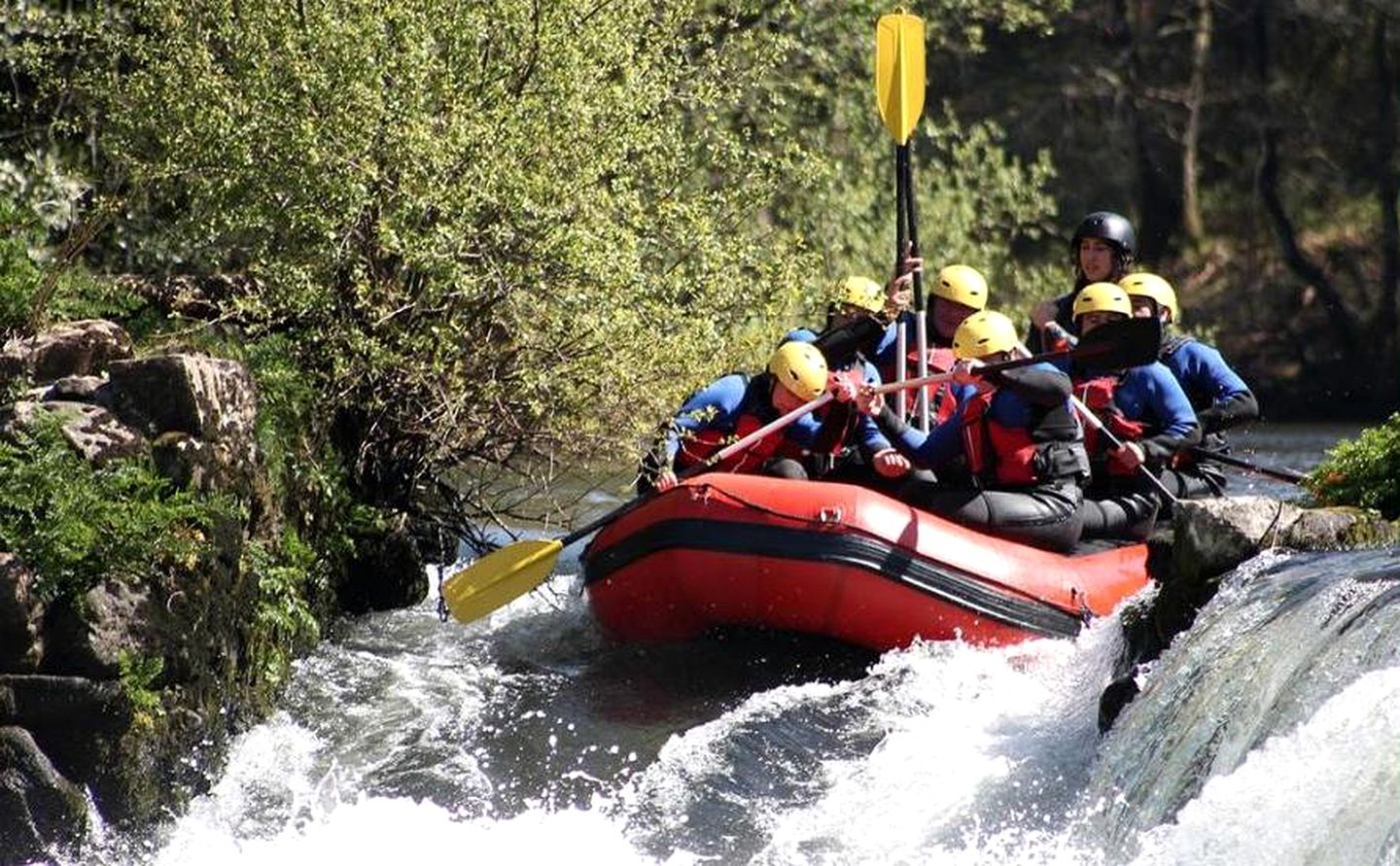 Unique Tree House Getaway in the Forest near Grabovac, Croatia