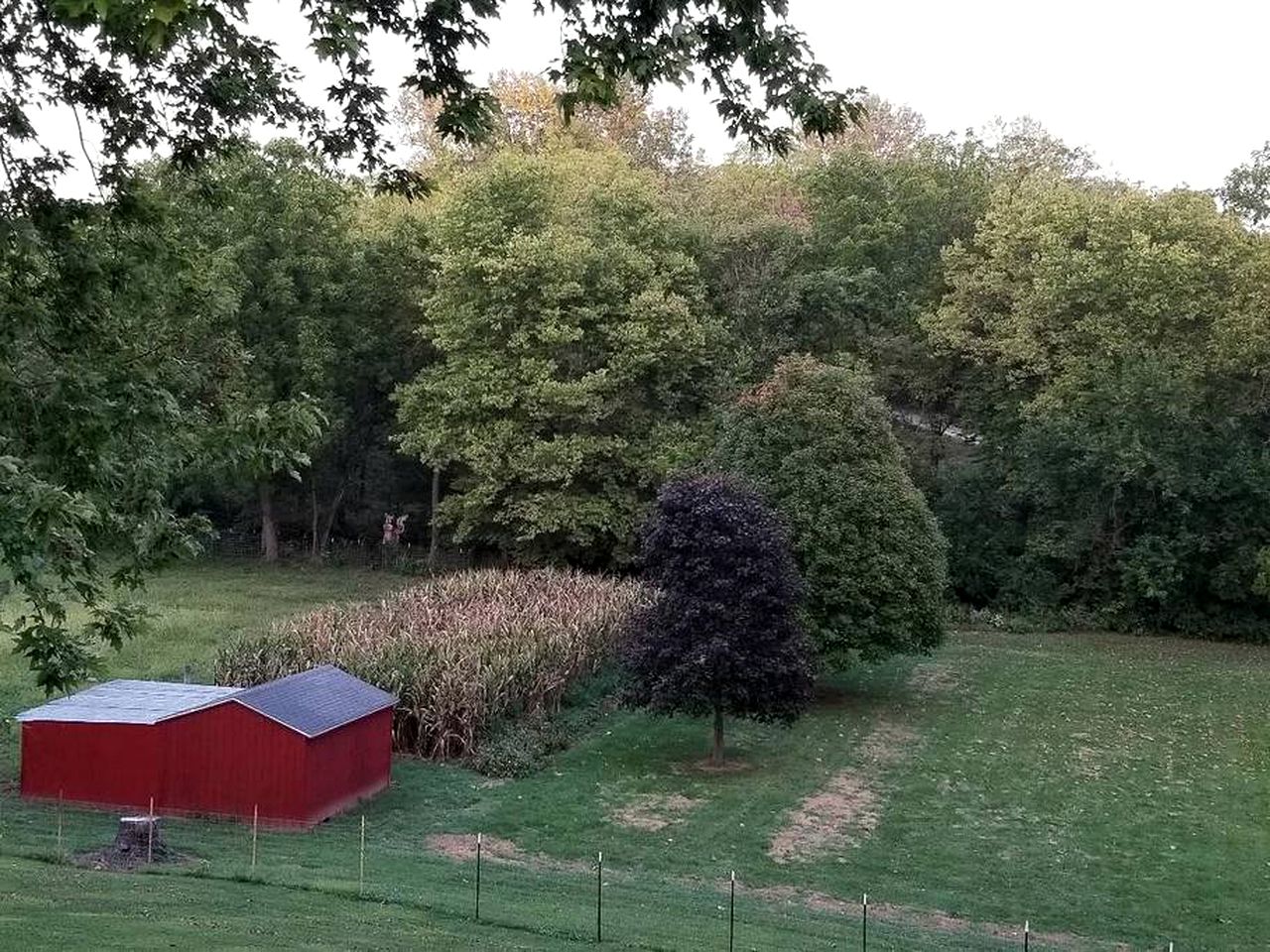 Cabin Rental near Wildlife Refuge in Lewistown, Illinois