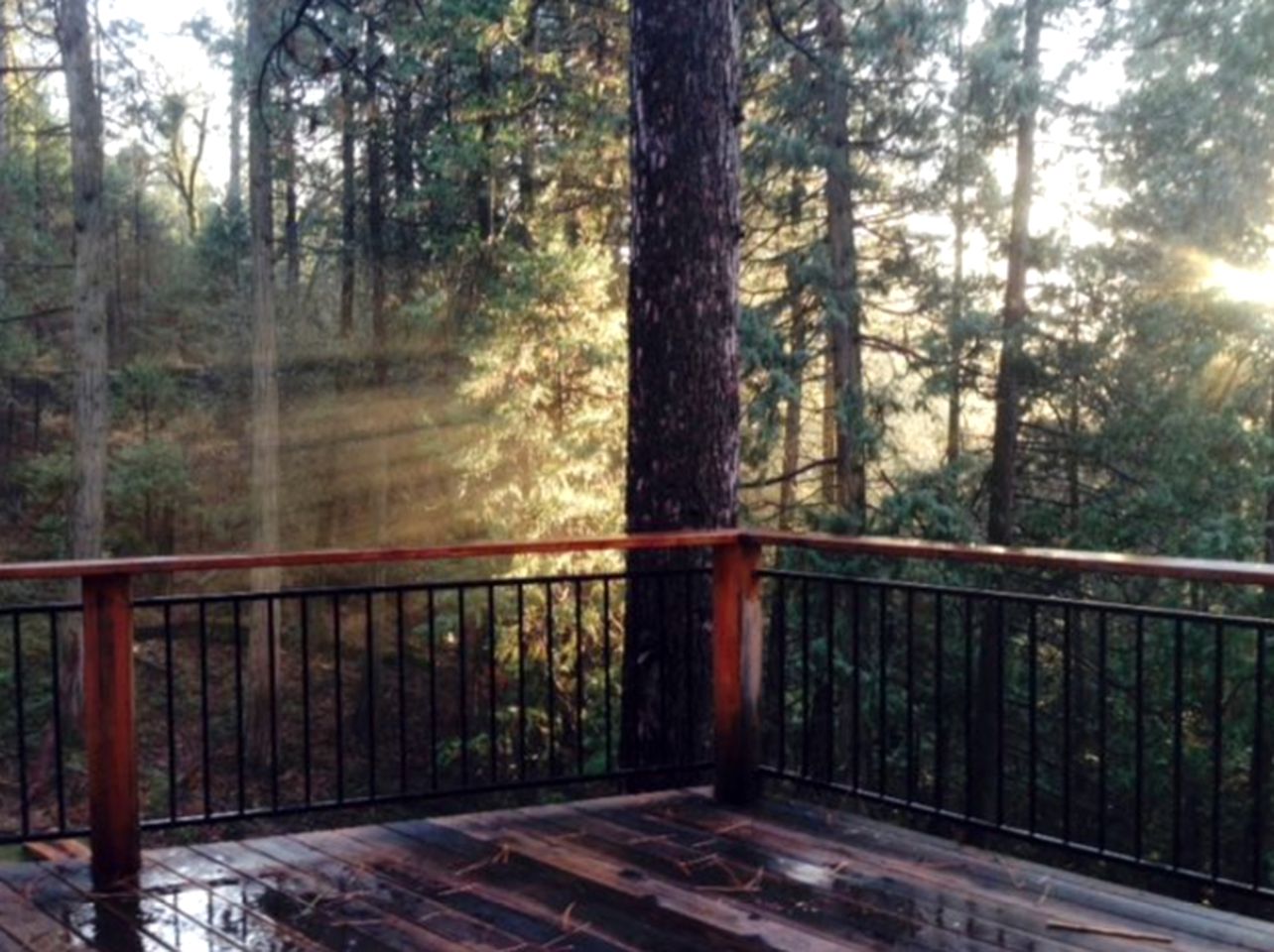 Cabin with WiFi near Yosemite