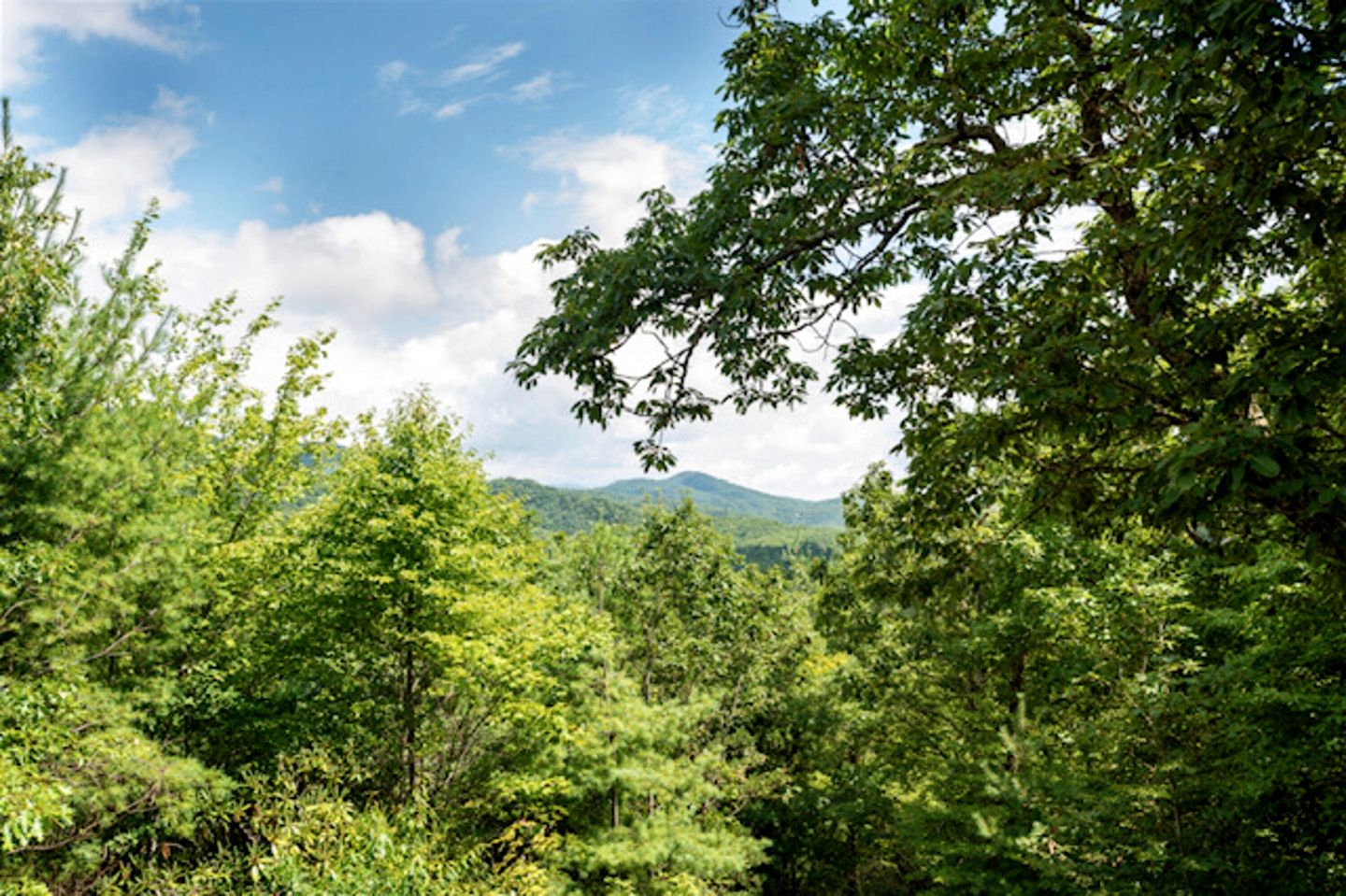 Luxurious Mountain Retreat with Wrap-Around Porches and Hot Tub, Near Asheville and Black Mountain, NC
